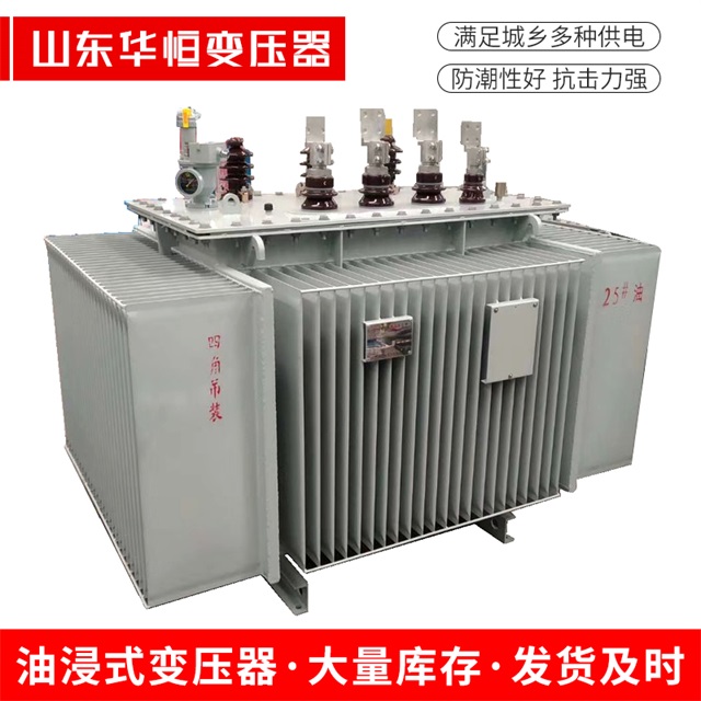 S13-10000/35贞丰贞丰贞丰电力变压器厂家