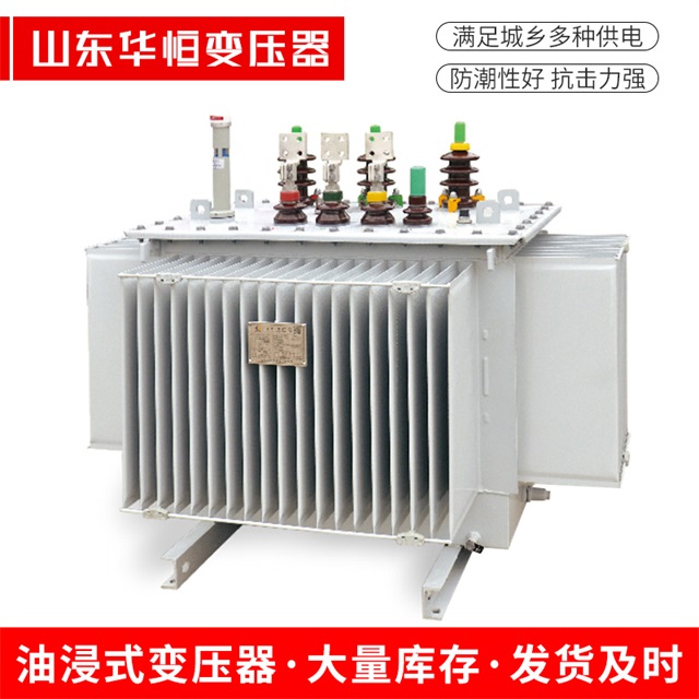 S13-10000/35贞丰贞丰贞丰电力变压器